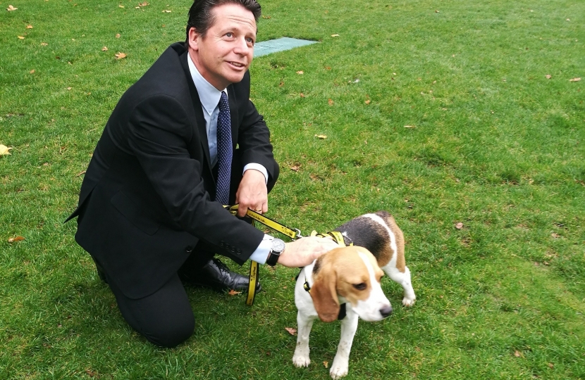 Nigel Huddleston MP with a Dogs Trust dog - Bonnie - at Westminster Dog of the Year