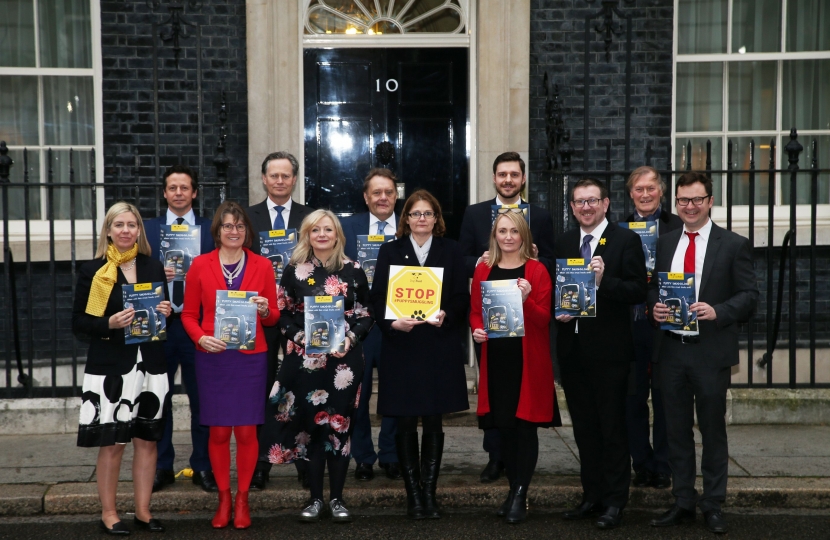 Cross party group of MPs delivering puppy smuggling petition to Downing Street