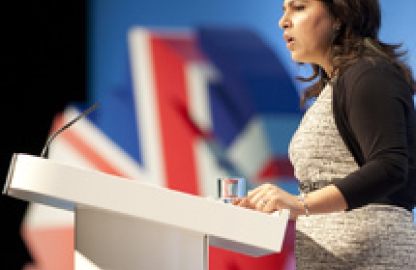 Baroness Sayeeda Warsi, Party Chairman